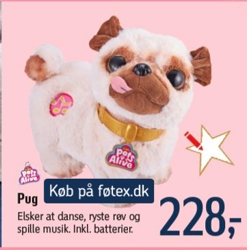 Pug hund, set i føtex